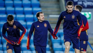 Ponturi Norvegia vs Spania