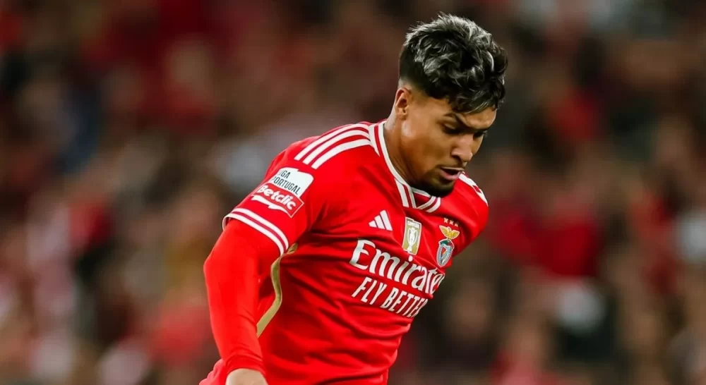 Ponturi fotbal Benfica vs Boavista