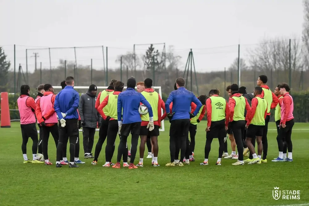 Ponturi pariuri Reims vs OSC Lille - Ligue 1