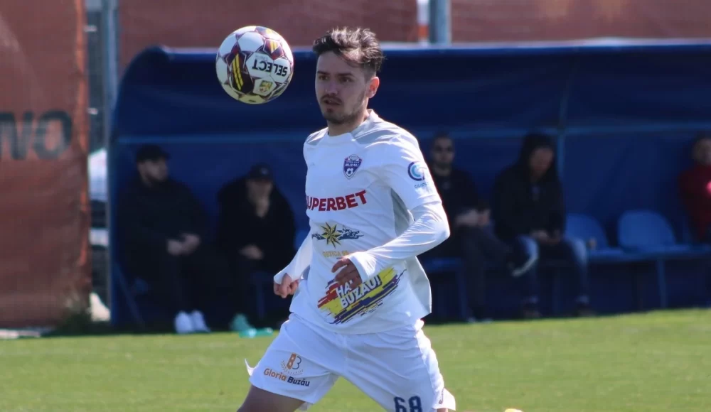 Ponturi CS Hunedoara vs FC Buzau