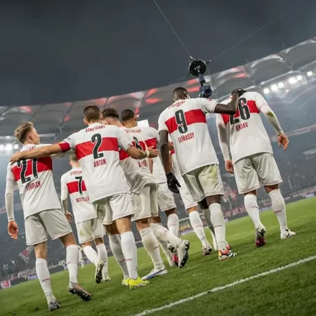 Ponturi Hoffenheim vs Stuttgart – Bundesliga