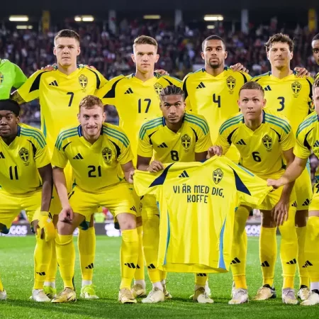 Ponturi Suedia vs Albania – Meci amical
