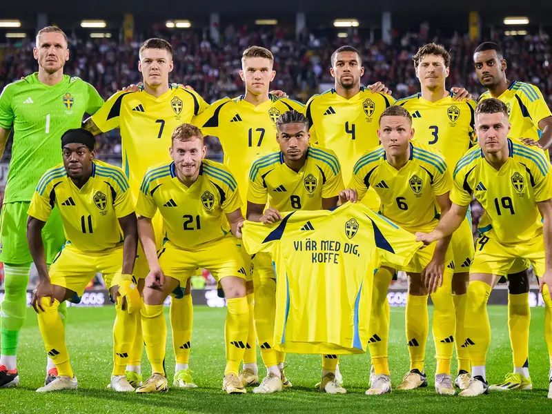 Ponturi Suedia vs Albania - Meci amical