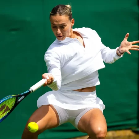 Ponturi Bogdan vs Pavlyuchenkova – Roland Garros