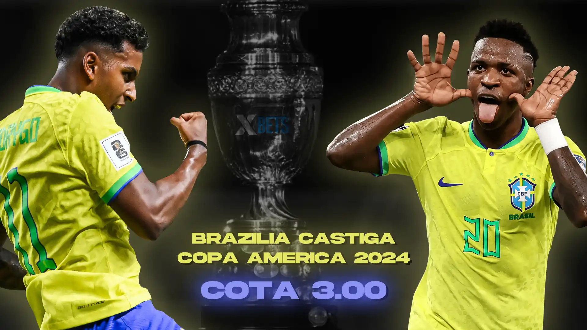 Cota Brazilia castiga Copa America 2024 