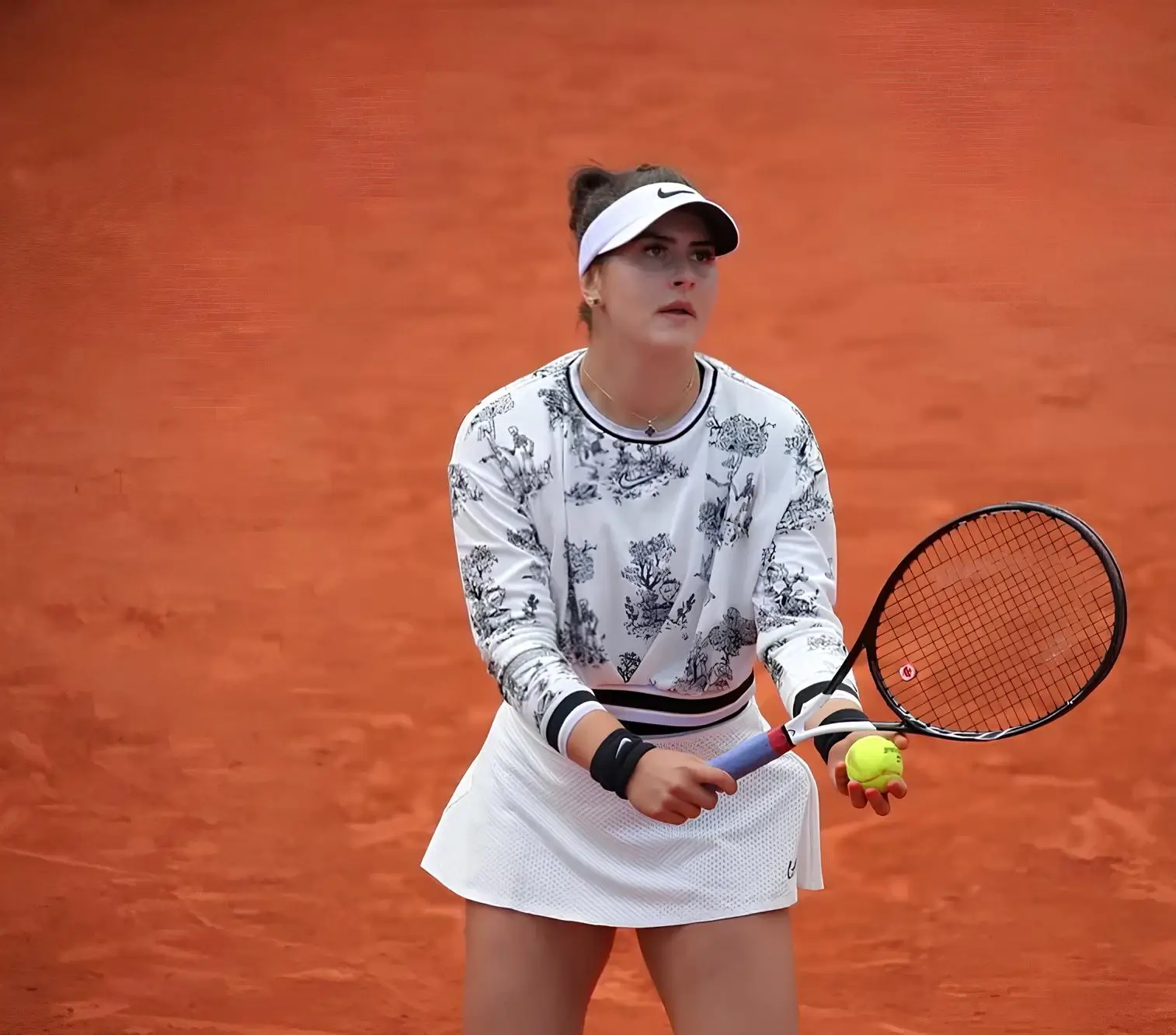 Ponturi Andreescu vs Paolini - Roland Garros