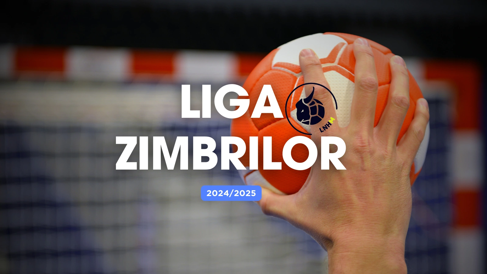 Liga Zimbrilor 2024/2025