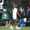 Ponturi Musetti vs Perricard – Wimbledon
