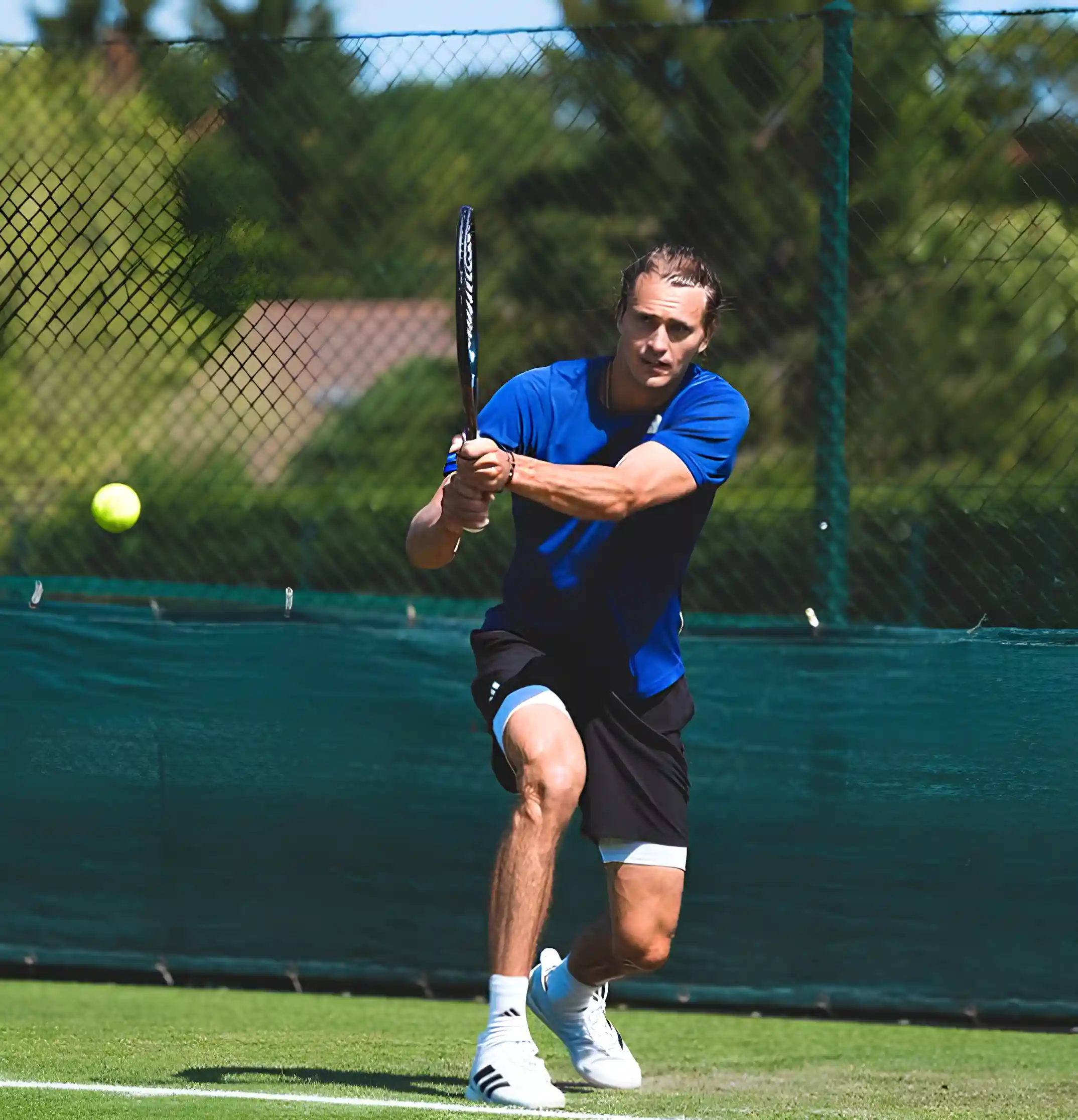 Ponturi Carballes Baena vs Zverev - Wimbledon