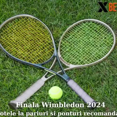 Cote pariuri Wimbledon: Cine va castiga finala la tenis in 2024?