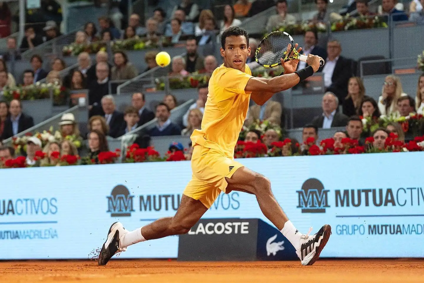 Ponturi Auger-Aliassime vs Hanfmann