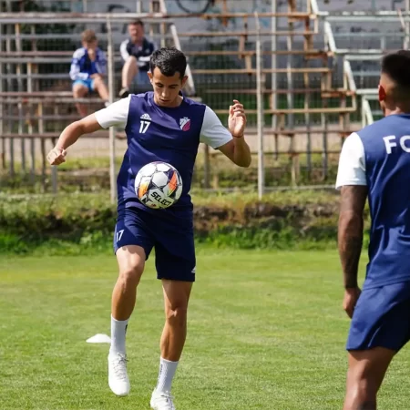 FC Botoșani vs UTA Arad – Ponturi pariuri Superliga