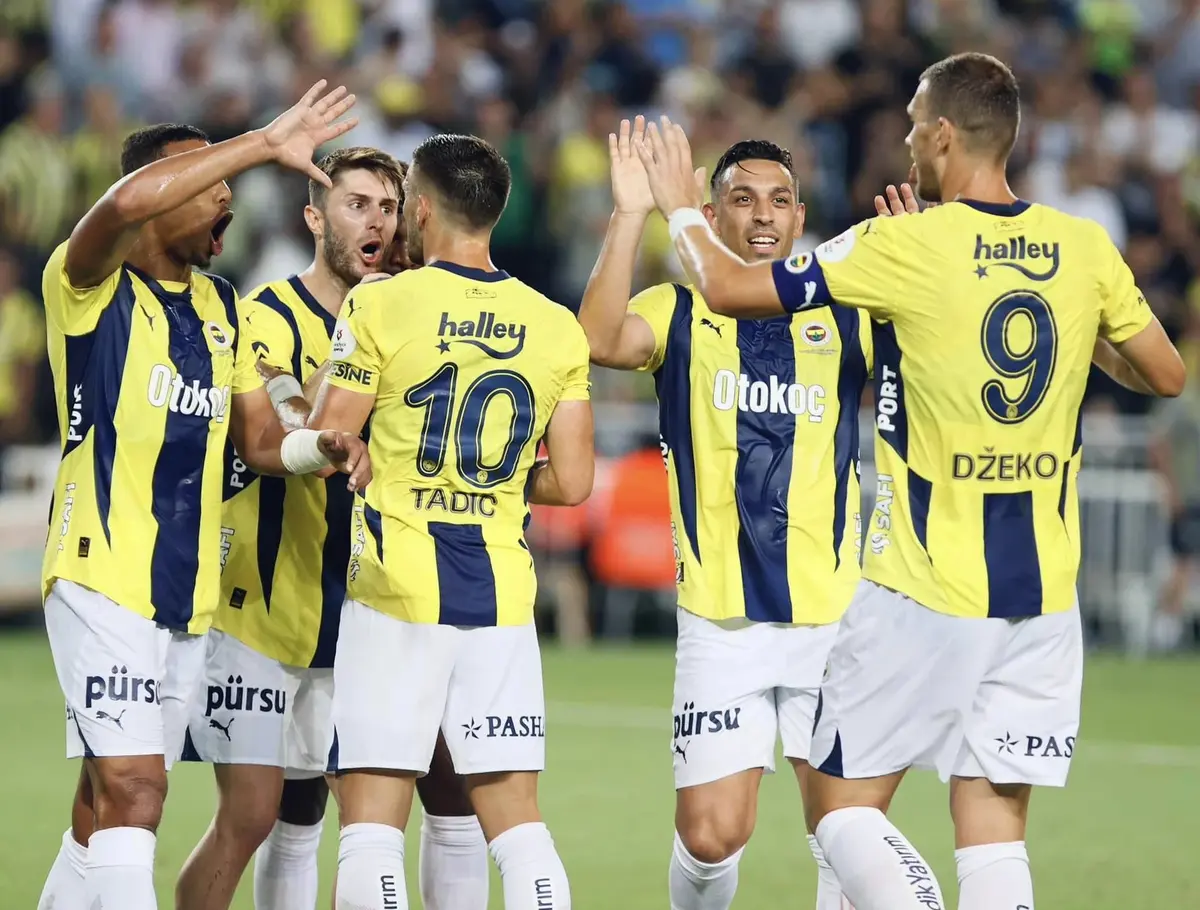 Fenerbahce vs Lille - Ponturi pariuri Champions League