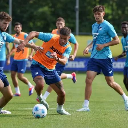 Hoffenheim vs Kiel – Ponturi pariuri Bundesliga 24 august