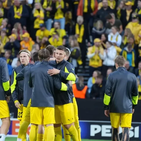 Steaua Rosie vs Bodo/Glimt – Ponturi pariuri Champions League