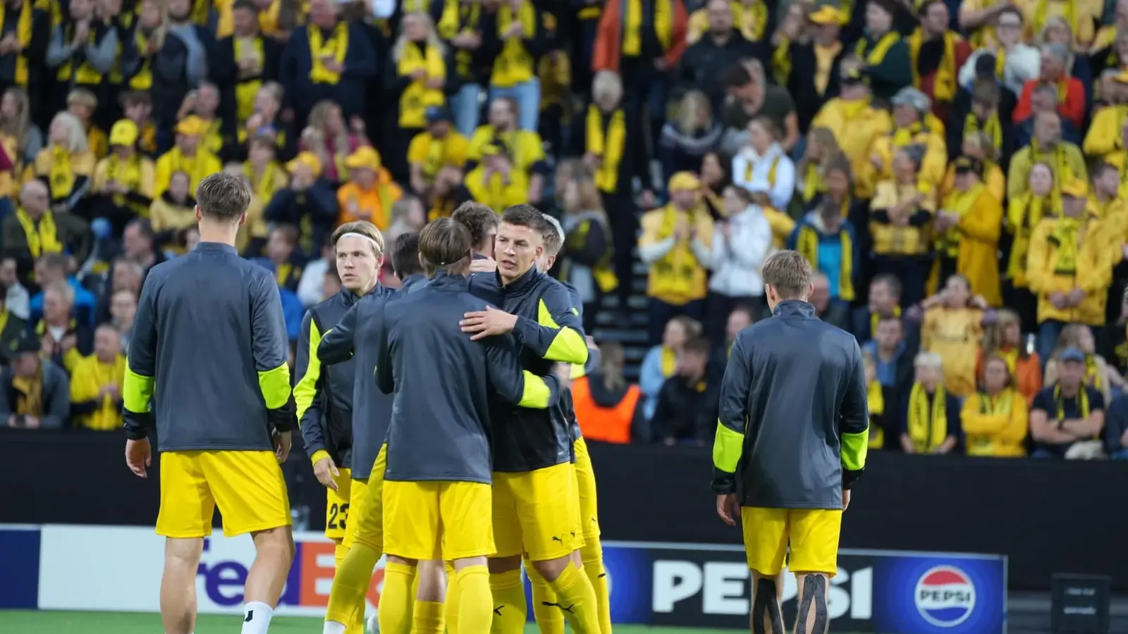 Steaua Rosie vs Bodo/Glimt - Ponturi pariuri Champions League