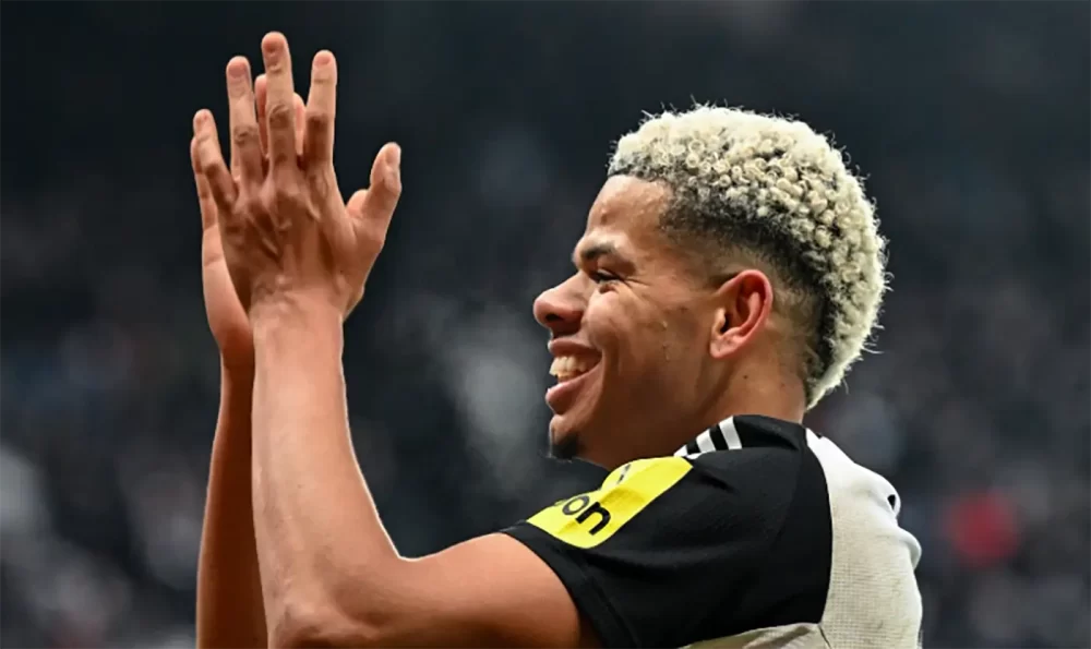 Biletul Etapei 22 Premier League