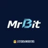Mr Bit