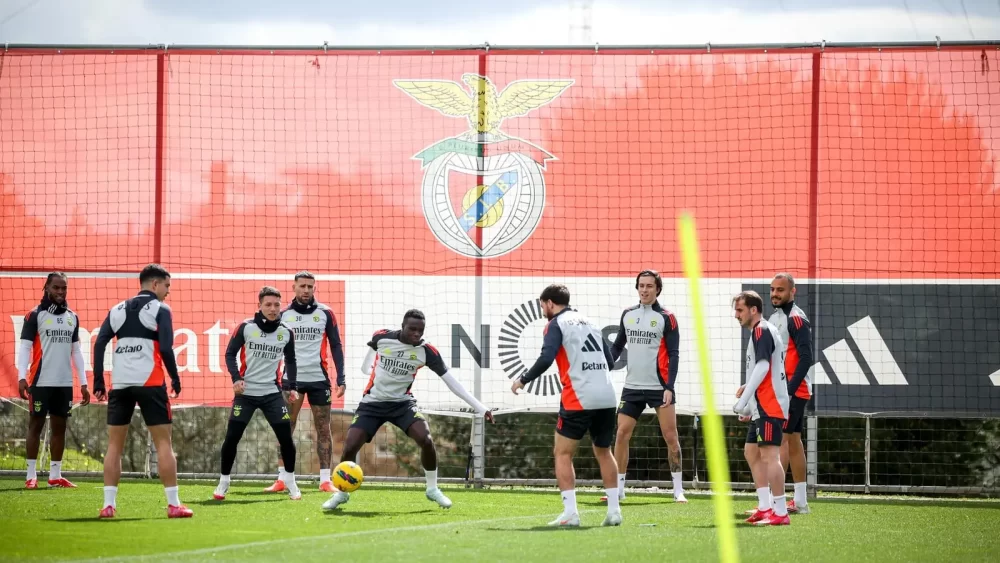 Gil Vicente vs Benfica