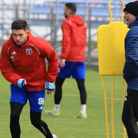 Steaua vs FC Voluntari, Ponturi Pariuri Liga 2, 09.04.2025