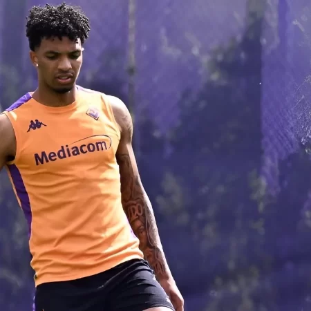 Venezia vs Fiorentina, 12 mai 2025 – Ponturi Pariuri Serie A