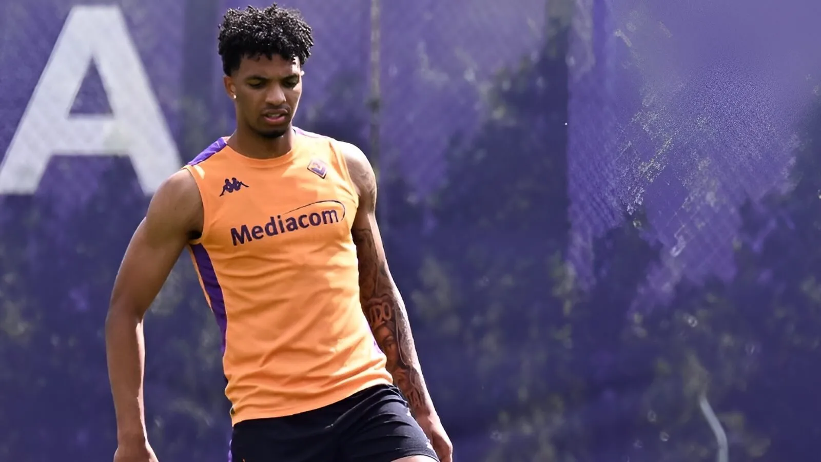 Venezia vs Fiorentina, 12 mai 2025 - Ponturi Pariuri Serie A