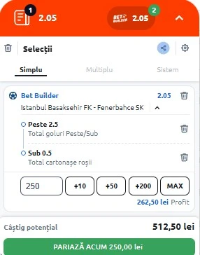Basaksehir vs Fenerbahce