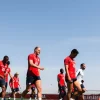 Lille – Reims 17 mai 2025 – Ponturi pariuri Ligue 1