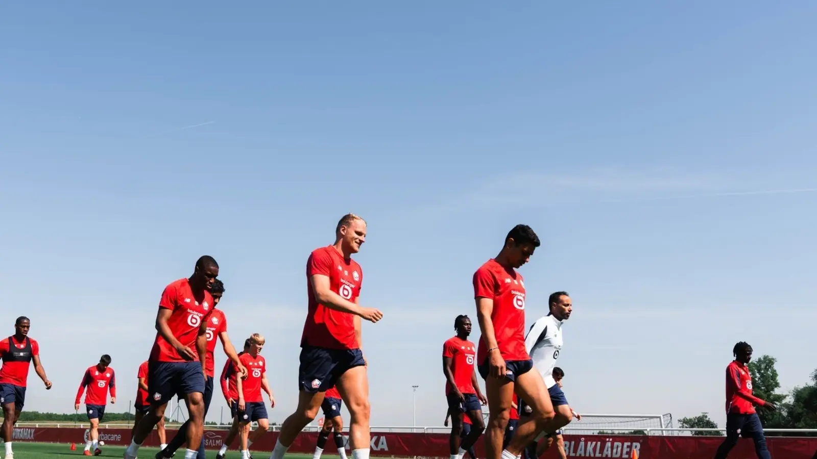 Lille - Reims 17 mai 2025 - Ponturi pariuri Ligue 1