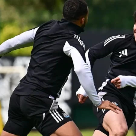 Newcastle – Everton – Ponturi Pariuri Premier League 25.05.2025