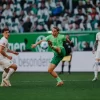 Wolfsburg – Hoffenheim 09.05.2025 – Ponturi pariuri Bundesliga