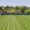 Cine transmite Wimbledon 2025 la TV în România?