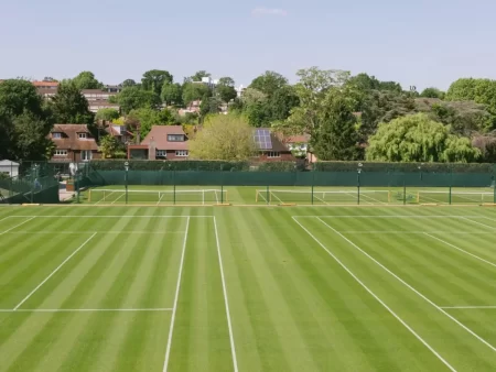 Cine transmite Wimbledon 2025 la TV în România?