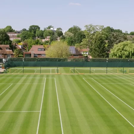 Cine transmite Wimbledon 2025 la TV în România?