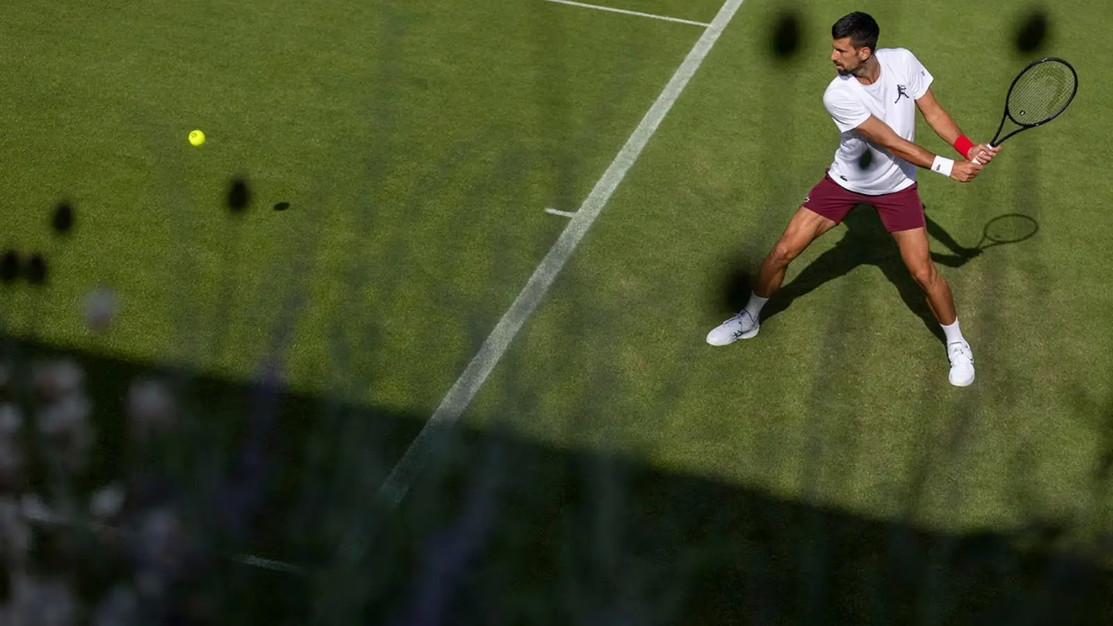 Cote Pariuri Wimbledon 2025 ATP