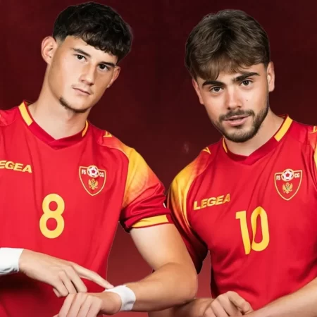 Danemarca U19 vs Muntenegru U19, 16 iunie 2025, Ponturi Pariuri EURO U19 2025
