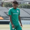 Palmeiras vs Botafogo, 28 iunie 2025, Ponturi Pariuri Optimi Campionatul Mondial al Cluburilor