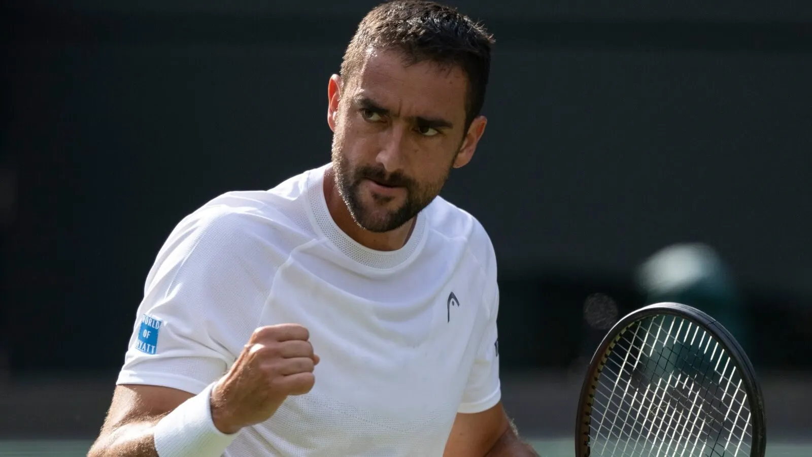 Biletul Zilei Wimbledon din 5 iulie 2025 - Pariem cu incredere pe favoriti la Wimbledon