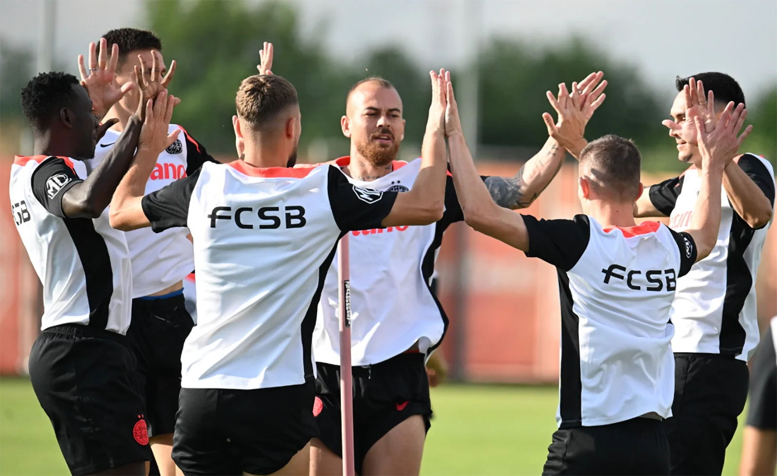 Cine arbitrează FCSB - Shkendija în turul 2 preliminar UCL? Potențial de cartonașe la București!