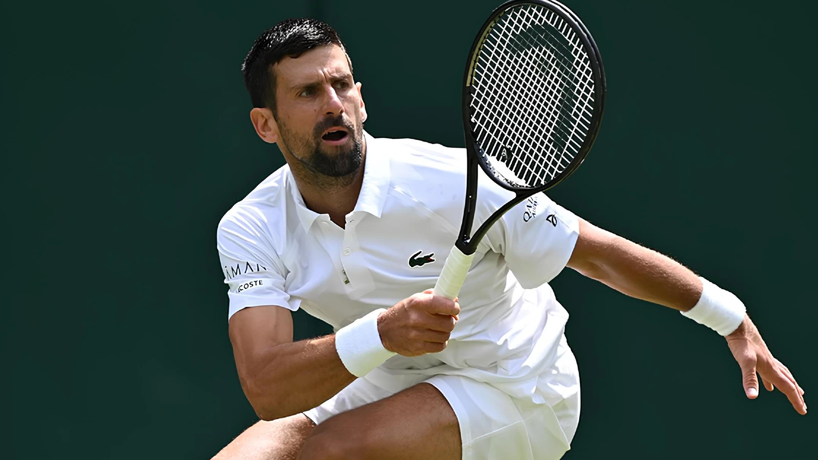 Flavio Cobolli vs Novak Djokovic Ponturi Sferturi Tenis Wimbledon 09 iulie 2025