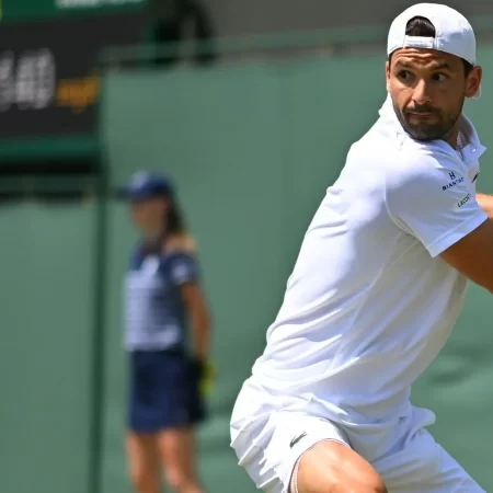 Grigor Dimitrov vs Sebastian Ofner, 5 iulie 2025, Ponturi Pariuri Wimbledon