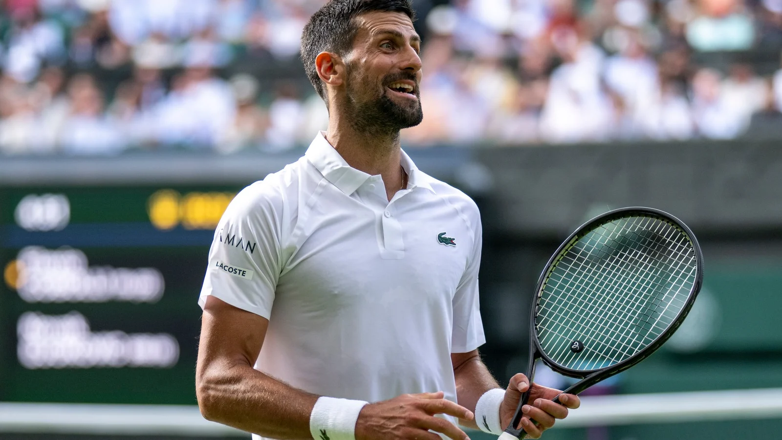 Jannik Sinner vs Novak Djokovic - Ponturi Tenis Semifinale Wimbledon 11 iulie 2025
