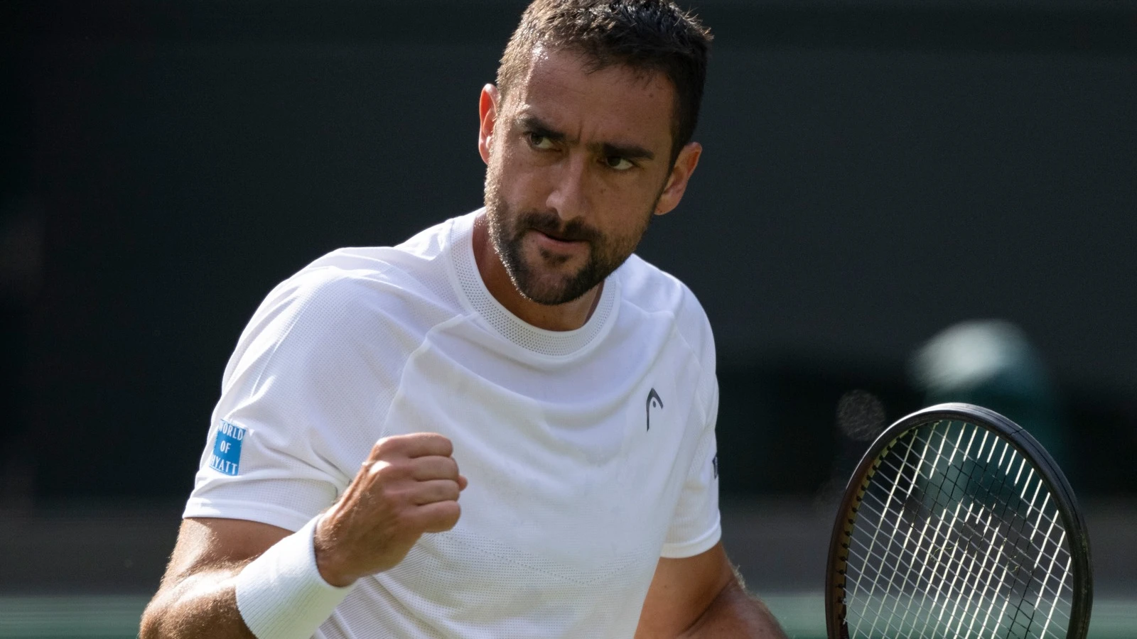 Marin Cilic vs Flavio Cobolli - Ponturi Optimi Tenis Wimbledon 07 iulie 2025