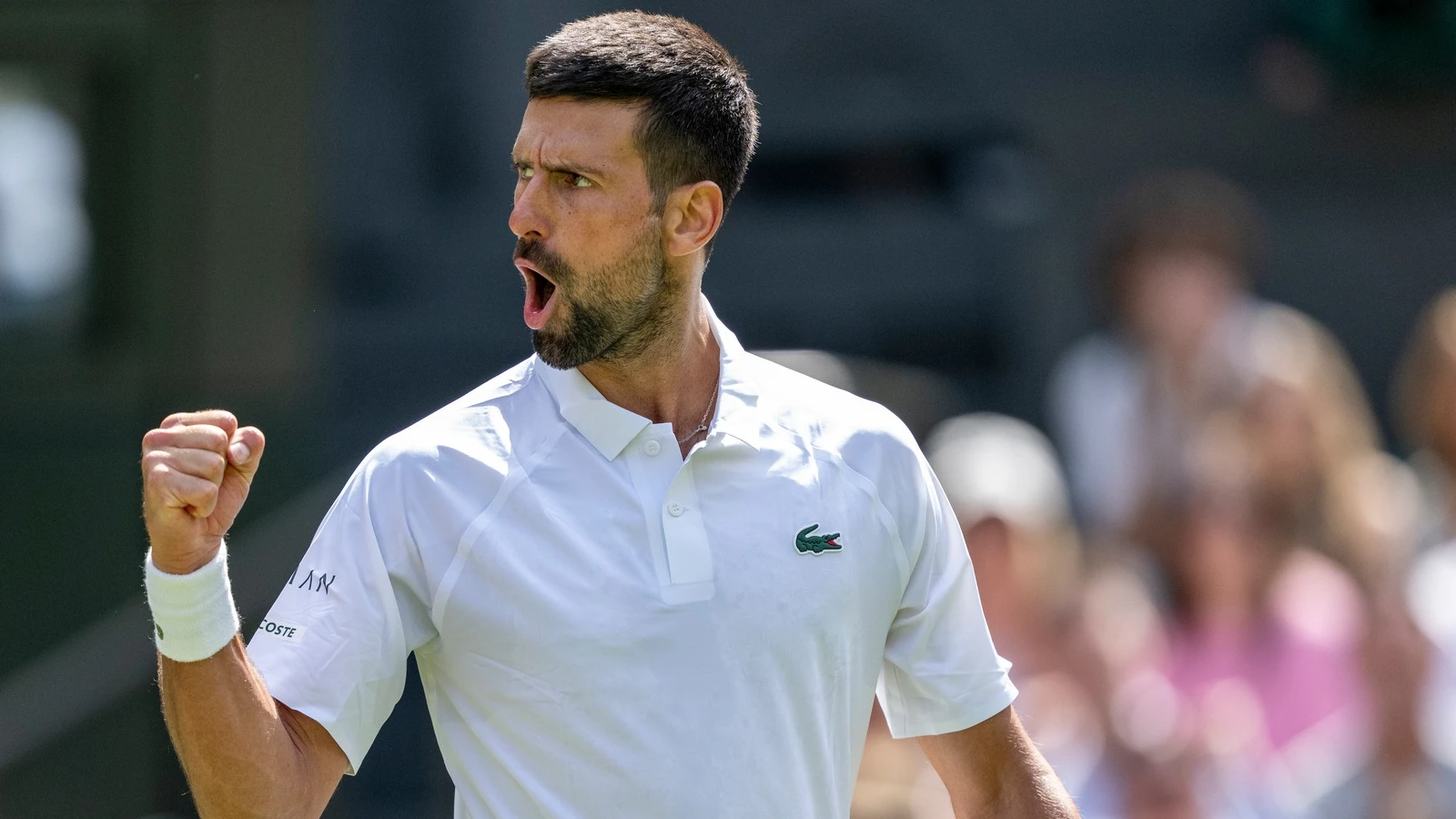 Miomir Kecmanovic vs Novak Djokovic - Ponturi Tenis Wimbledon 05.07.2025