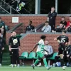 Shkendija – TNS, Ponturi pariuri Preliminarii Champions League – 15.07.2025