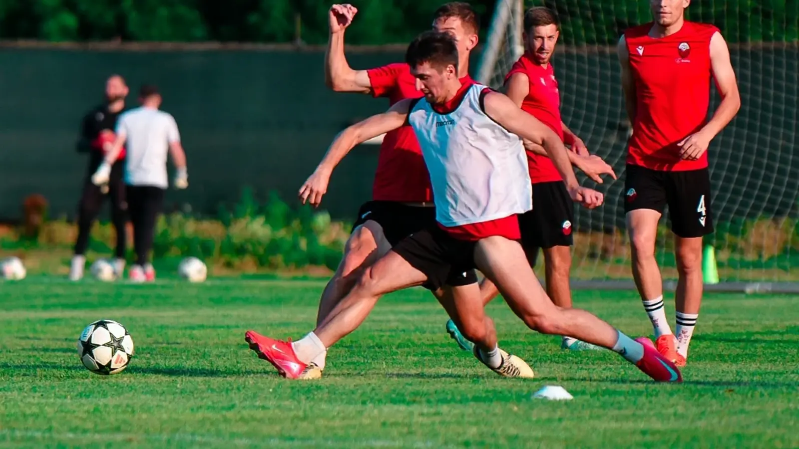 TNS - Shkendija, Ponturi pariuri Preliminariile Champions League, 8 iulie 2025