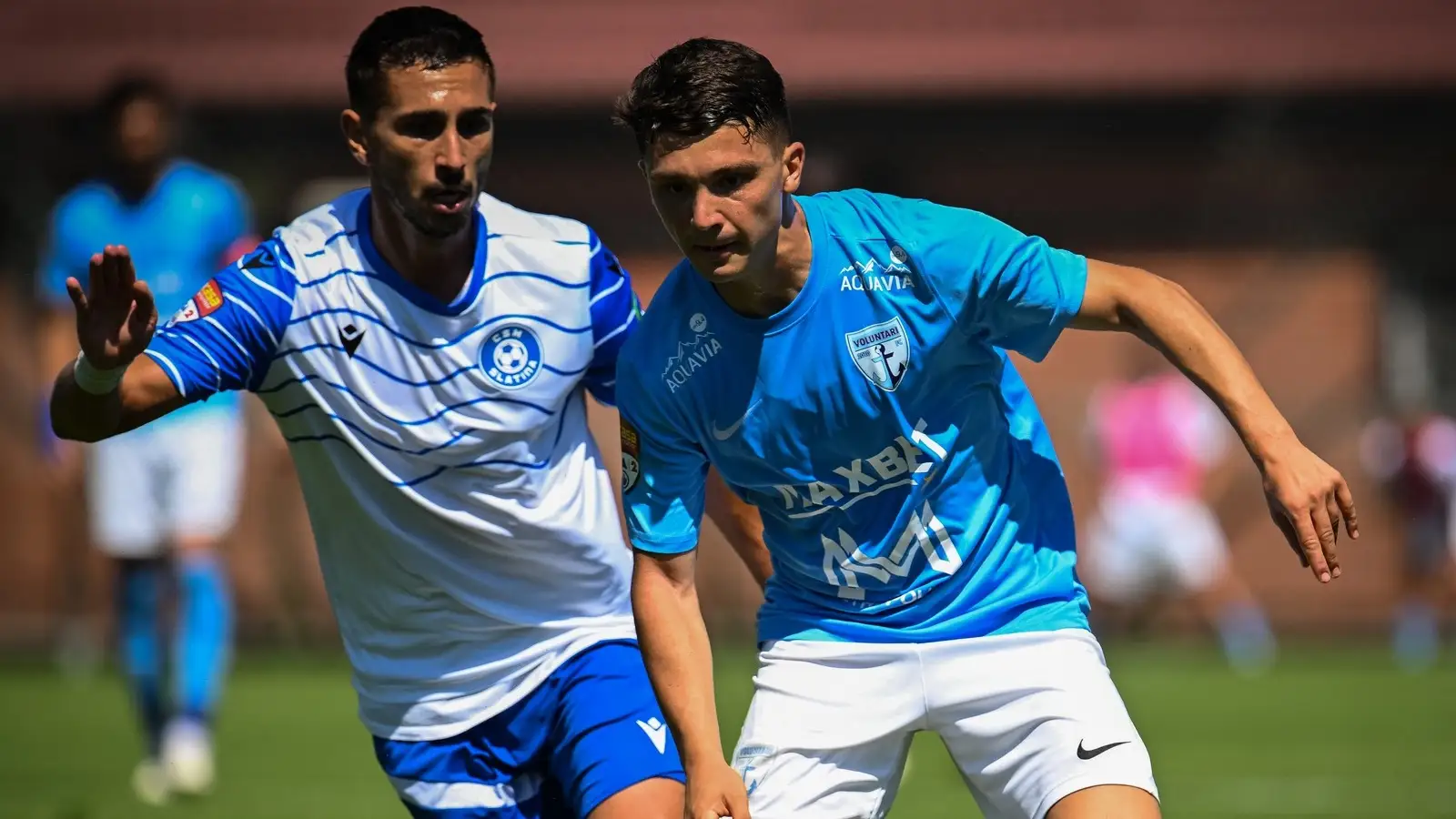 FC Voluntari vs Poli Iasi, 23 august 2025, Ponturi Pariuri Liga 2
