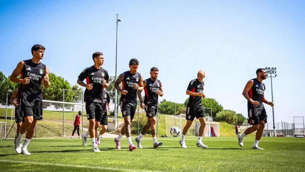 Benfica - Nice, Ponturi pariuri Preliminarii Champions League, 12 august 2025