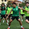 Ferencvaros vs Qarabag – Ponturi pariuri Preliminarii Champions League – 19.08.2025