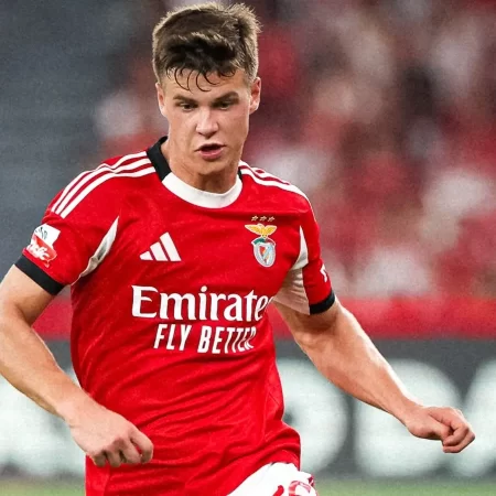 Benfica vs Qarabag, Ponturi Pariuri Champions League, 16 septembrie 2025